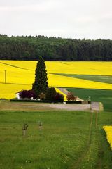 Kleiner Friedhof bei Oberfischbach 18