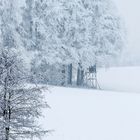 Kleiner Friedhof bei Oberfischbach 6