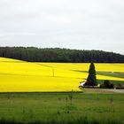 Kleiner Friedhof bei Oberfischbach Mai 10