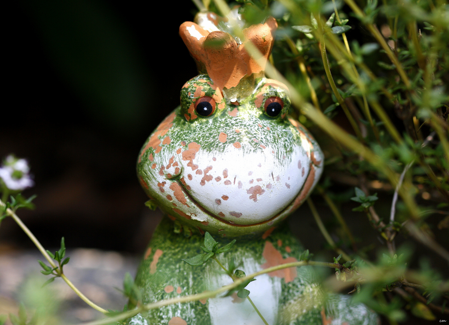 kleiner Froschkönig