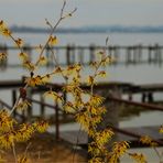 kleiner frühling