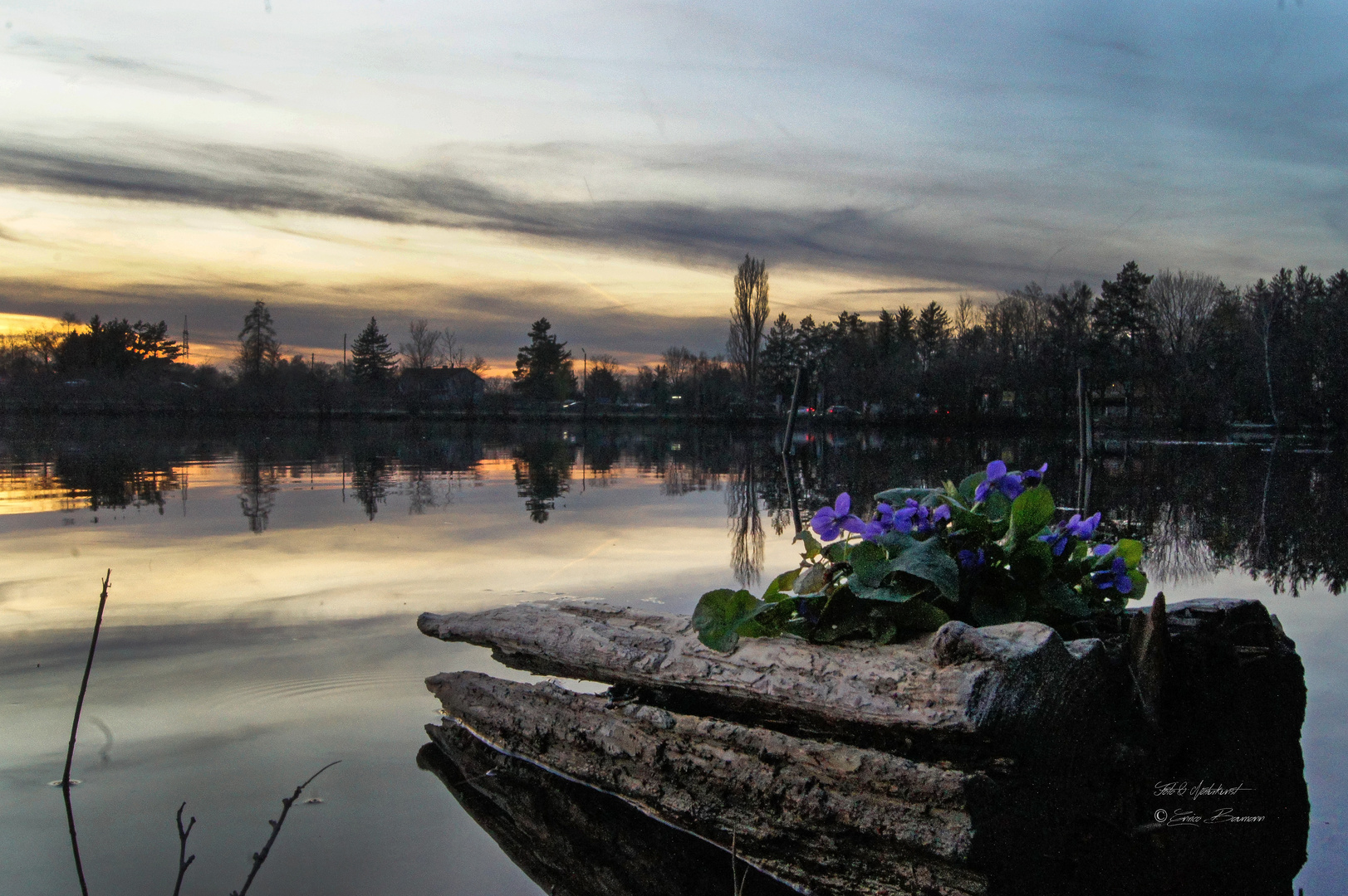 Kleiner Frühling am See