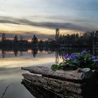 Kleiner Frühling am See