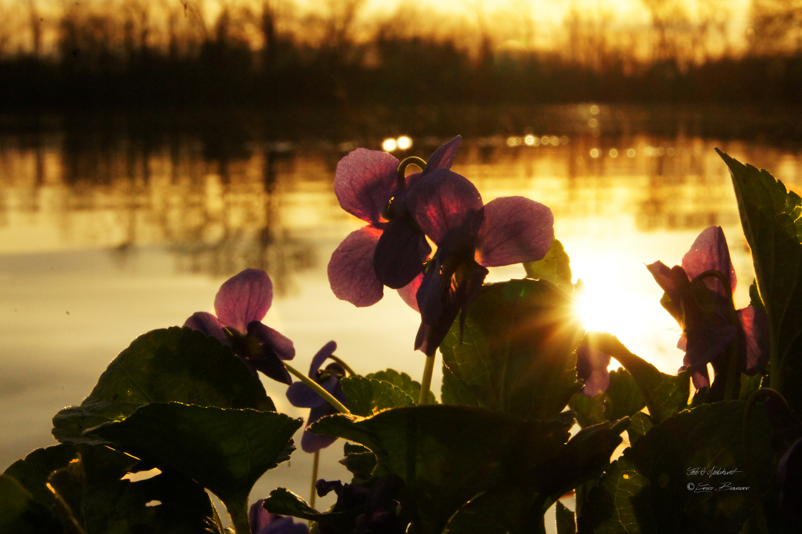 Kleiner Frühling am See