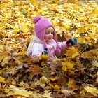 Kleiner Frühling im Herbst