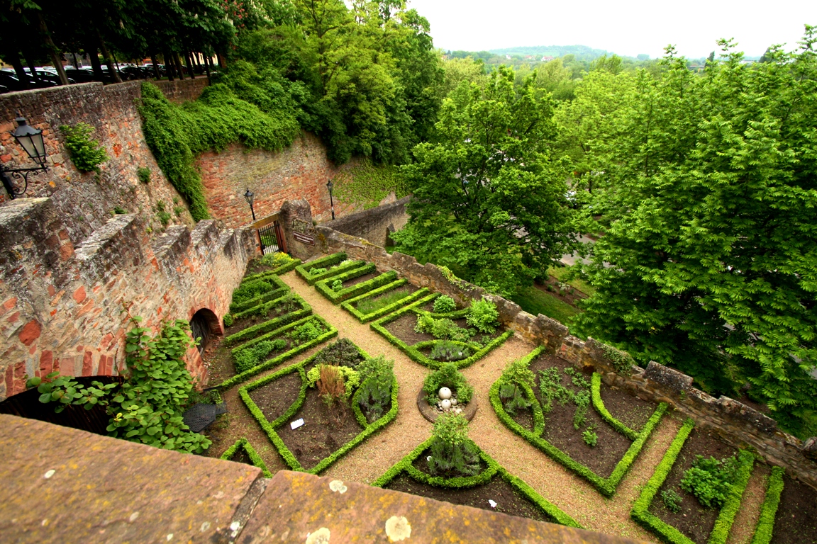 Kleiner Garten