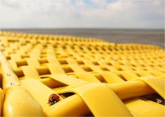 Kleiner Gast im Strandkorb