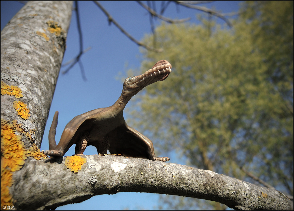 kleiner großer Vogel