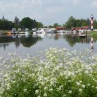 Kleiner Hafen im Frühling