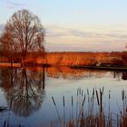 Kleiner Hafen in der Wedler Elbmarsch