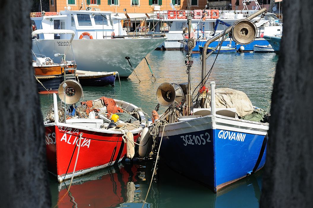 kleiner hafen von camogli