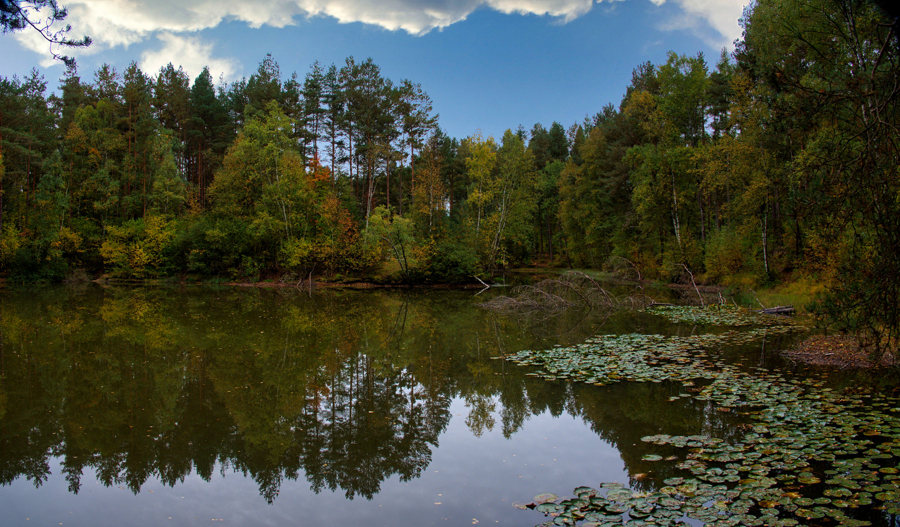 Kleiner  Heidesee