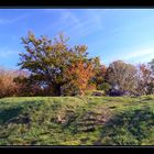 Kleiner Herbstausflug