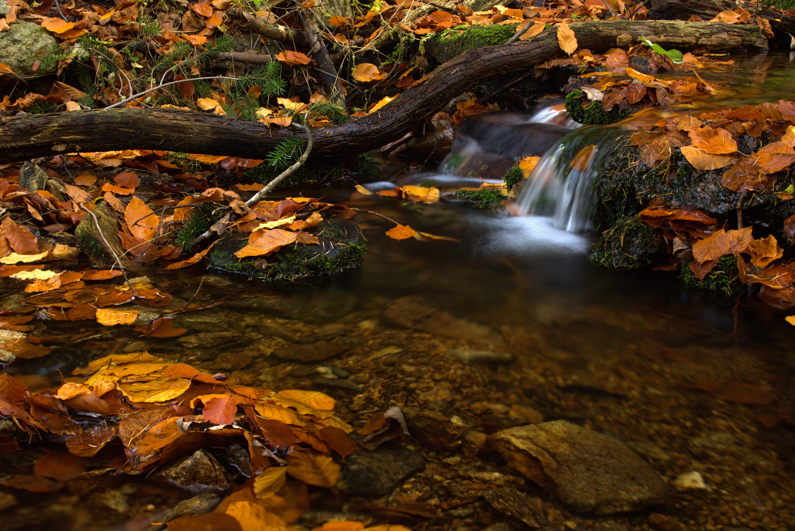 Kleiner Herbstbach