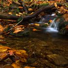 Kleiner Herbstbach