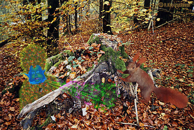 Kleiner Herbstgeist und neugieriges Eichhörnchen.