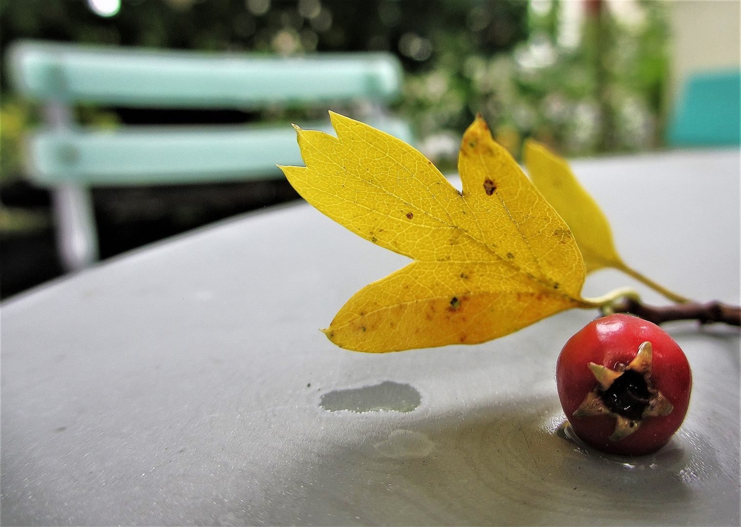 kleiner Herbstgruss