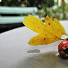 kleiner Herbstgruss