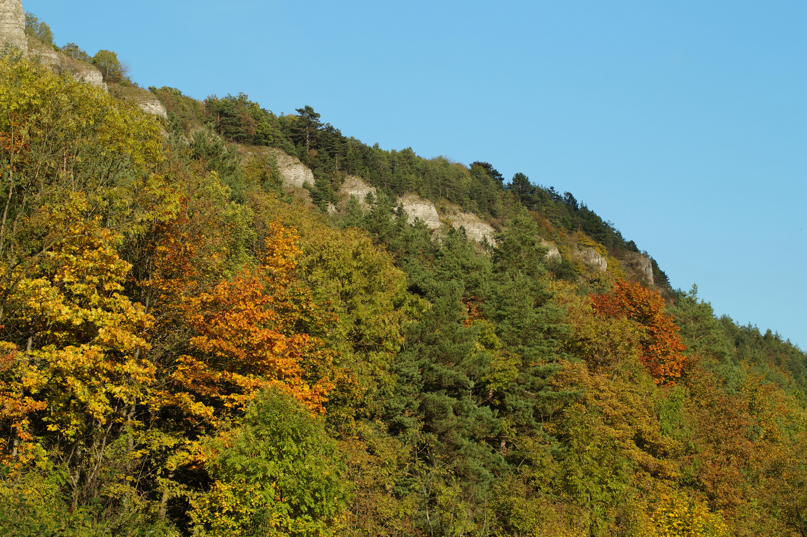 Kleiner Hörselberg bei Eisenach