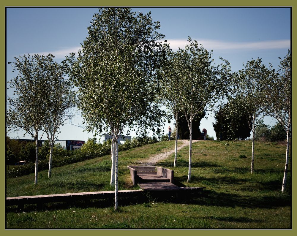 kleiner Hügel zum Ausruhen Foto & Bild landschaft, garten