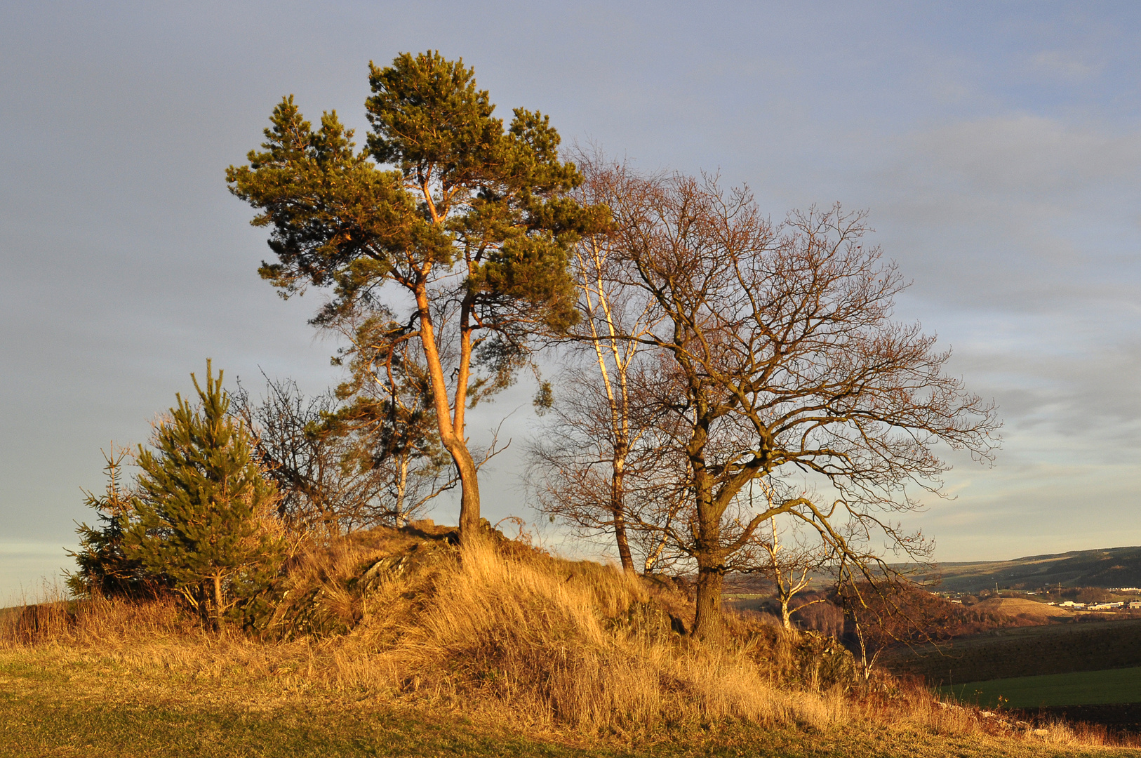 Kleiner Hügel zwischen Schneeberg und Wildbach