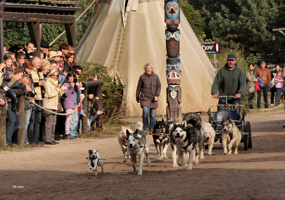 "Kleiner Hund" gaaaanz groß