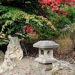 Kleiner japanischer Garten im Herbst