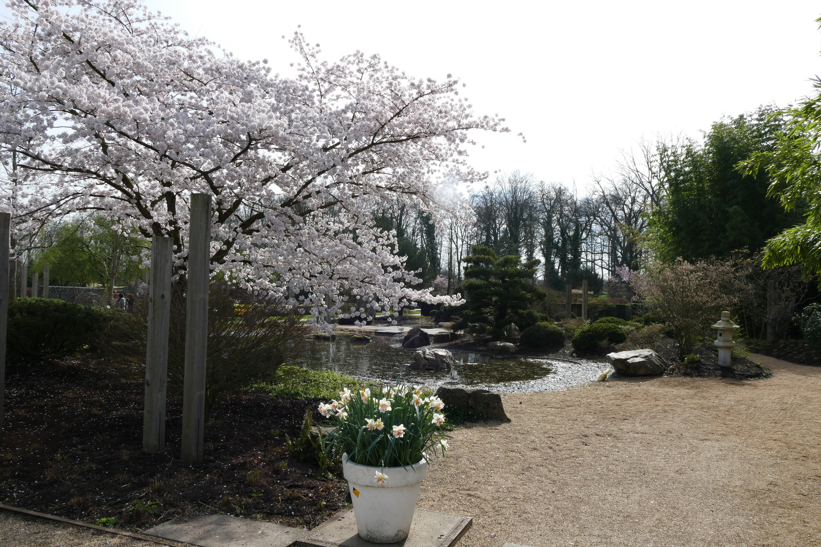 Kleiner Japanischer Garten in Schloß Dyck