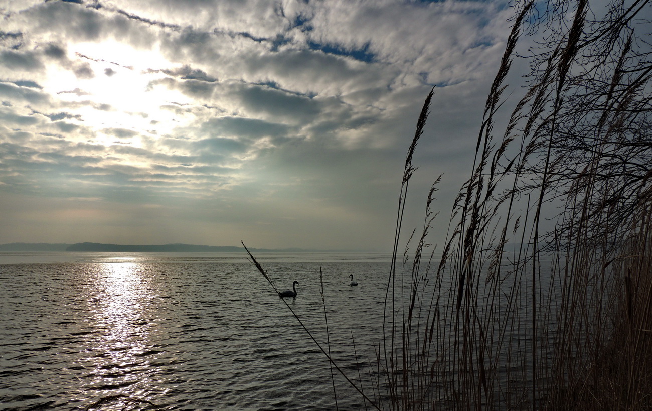 Kleiner Jasmunder Bodden