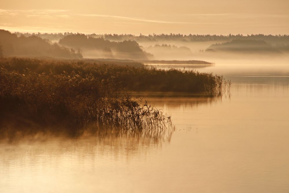 Kleiner Jasmunder  Bodden