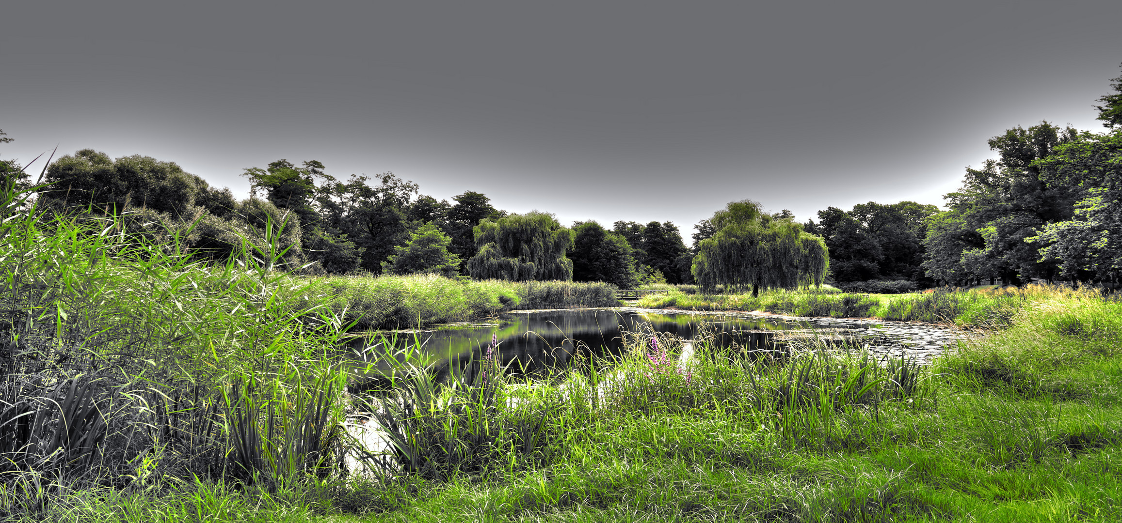 kleiner Kurparkteich