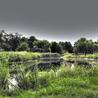 kleiner Kurparkteich