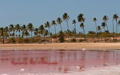 Kleiner Lac rosé