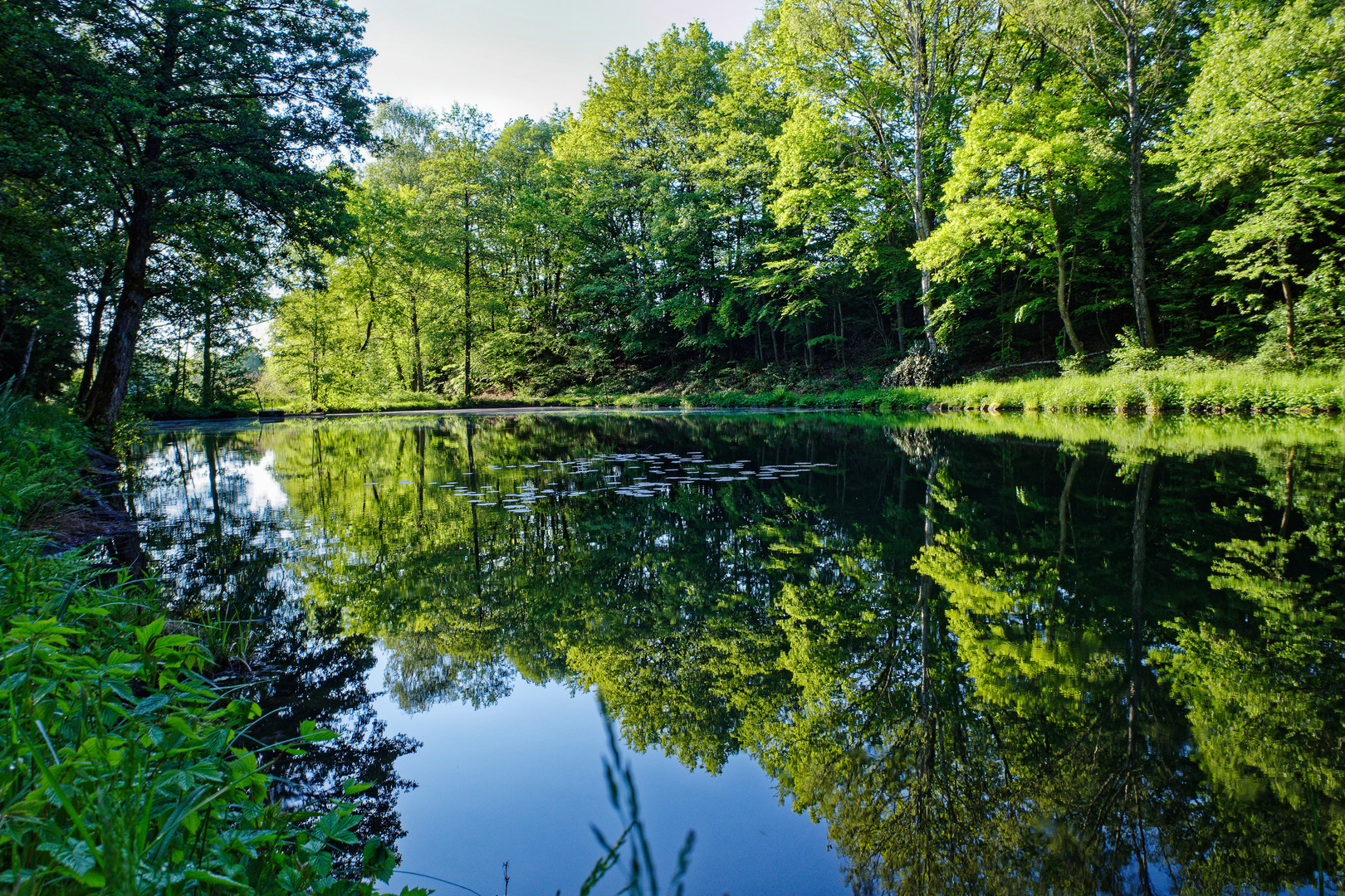 Kleiner Lasbachweiher