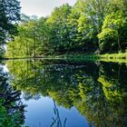 Kleiner Lasbachweiher