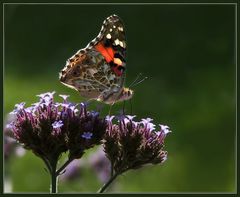 Kleiner Leuchter