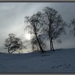 kleiner Lichtblick