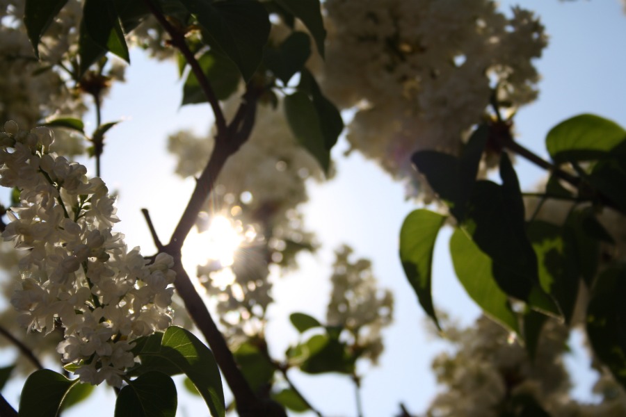 Kleiner Lichtblick