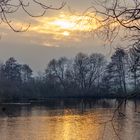 Kleiner Lichtblick im neuen Jahr