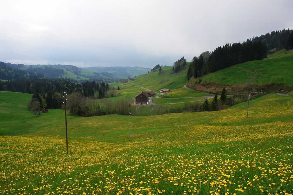 kleiner Lichtblick im Regenloch