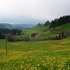 kleiner Lichtblick im Regenloch