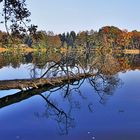 Kleiner Lienewitzsee