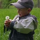 Kleiner Mann mit Pusteblume