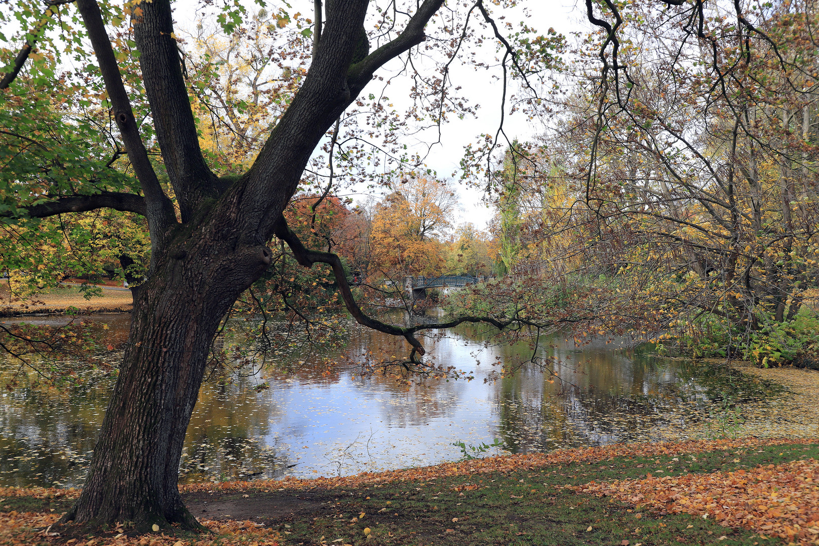 kleiner maschsee