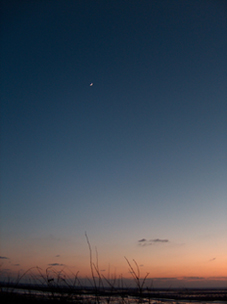 Kleiner Mond von Kirstin Sarakewitz