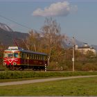 Kleiner Montafoner auf großer Reise