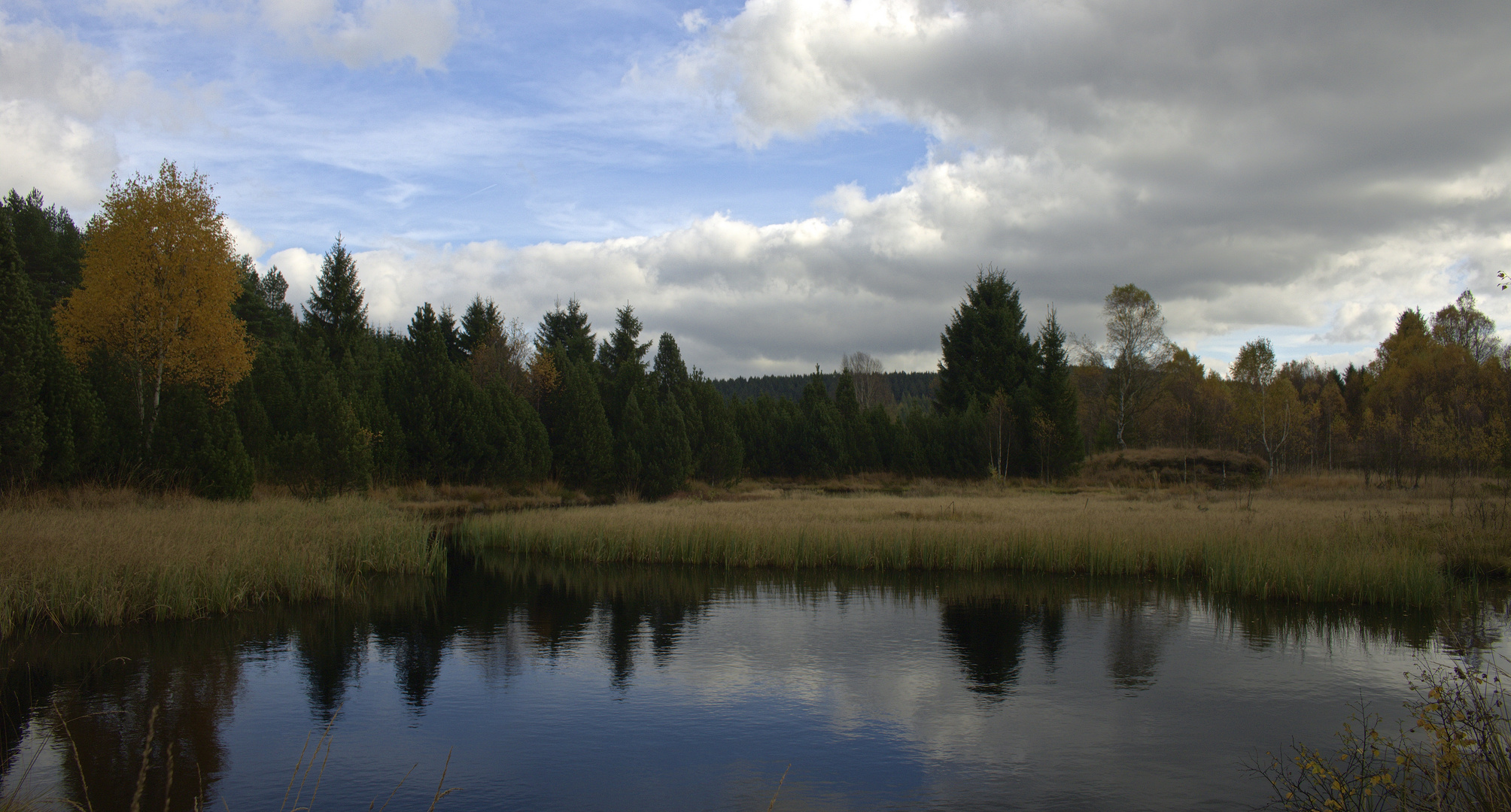 Kleiner Moorsee