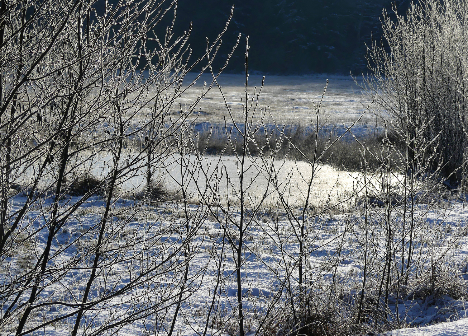 Kleiner Moorteich