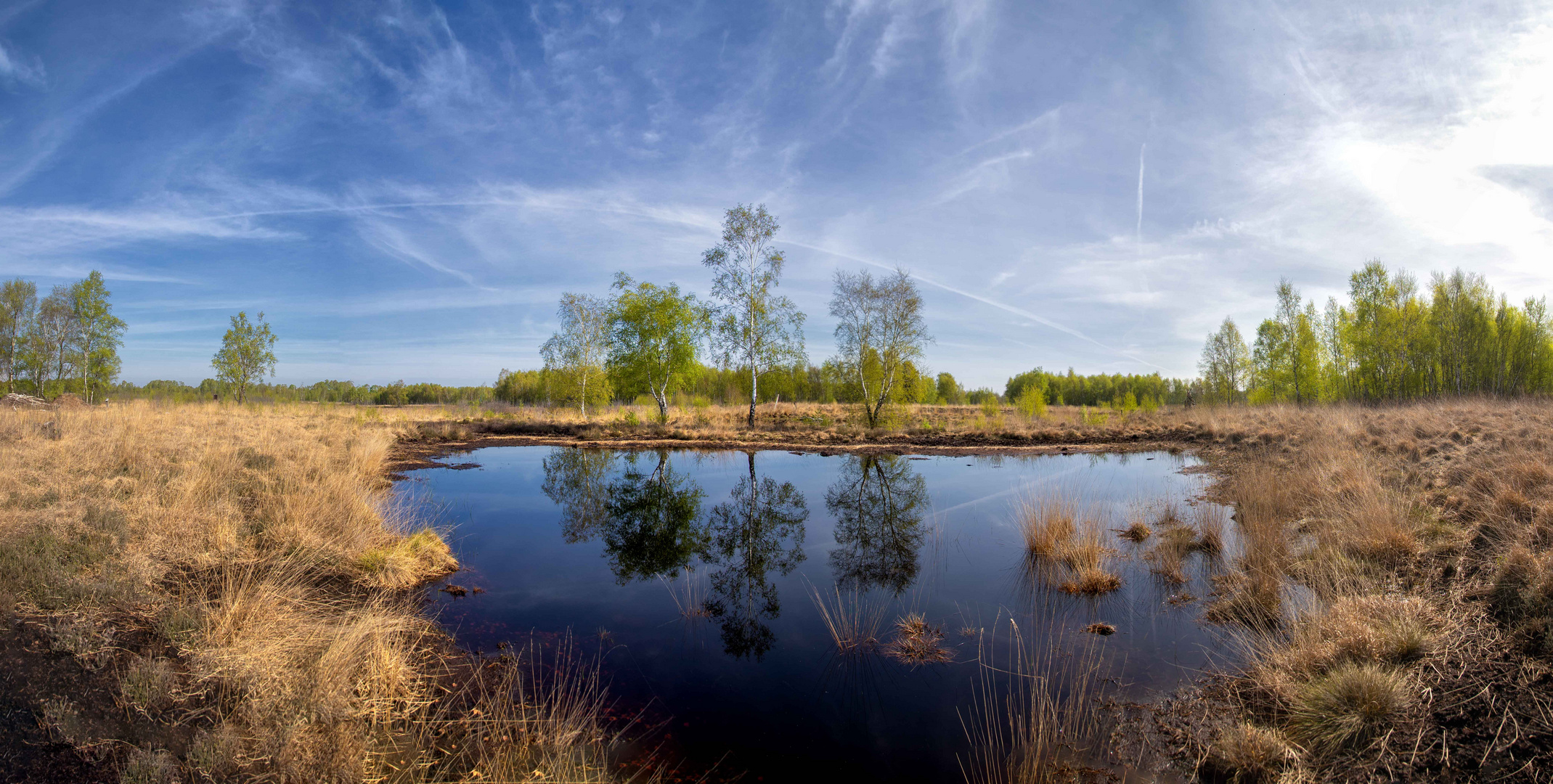 Kleiner Moortümpel im Diepholzer Moor. Foto & Bild | wasser, wolken