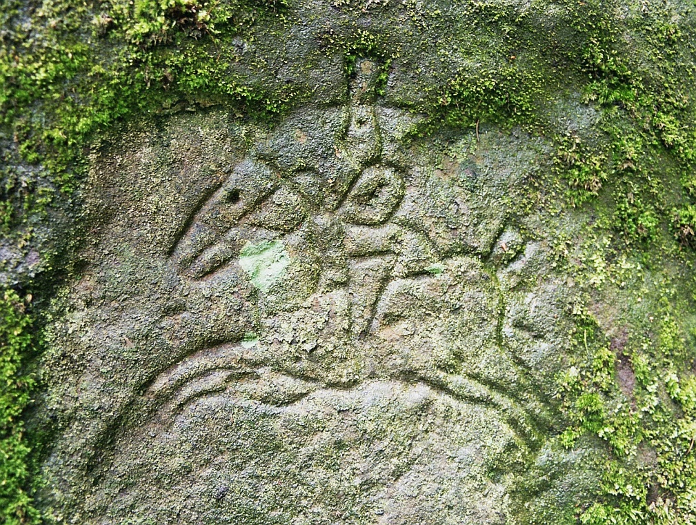 KLEINER Moos.Stein.REITER